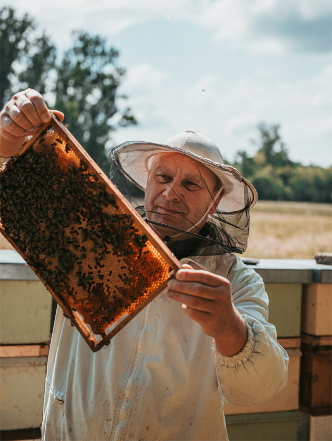 Včelaření je vášeň každým coulem